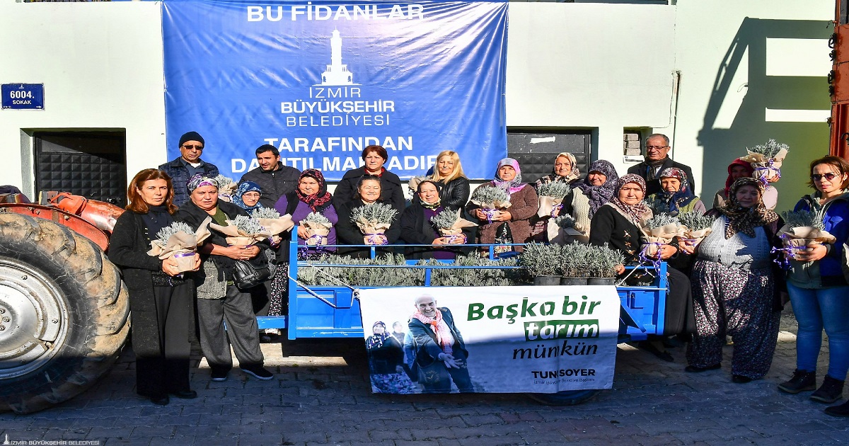 İZMİR BÜYÜKŞEHİR 32 BİN LAVANTA FİDESİ DAĞITTI