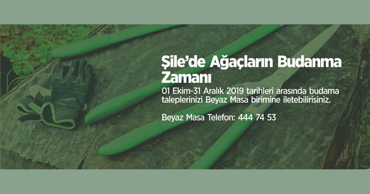 ŞİLE'DE AĞAÇ BUDAMA ZAMANI 1 EKİM -31 ARALIK