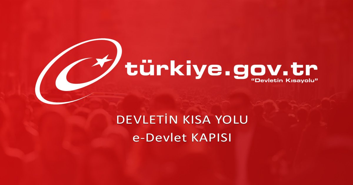 RİSK RAPORU E-DEVLET'TEN ÜCRETSİZ ALINACAK