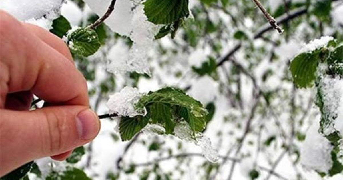 METEOROLOJİ GENEL MÜDÜRLÜĞÜ  UYARDI 