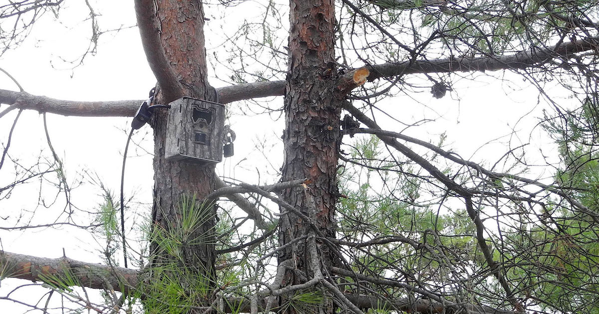 MAGANDALAR ‘FOTOKAPAN’LA YAKALANACAK