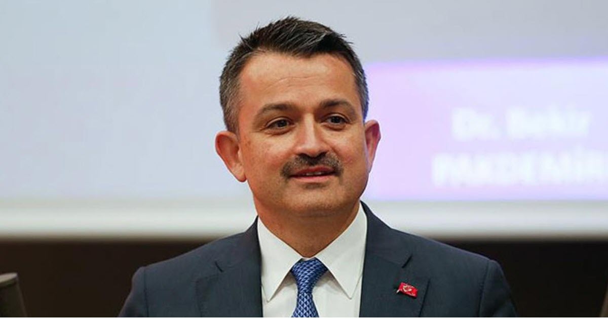 SALI GÜNÜ HESAPTA