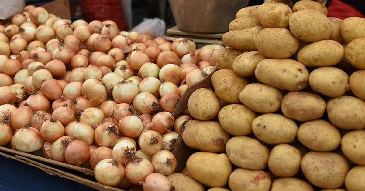 PATATES VE SOĞAN HASATI BAŞLIYOR, FİYATLARDA DÜŞÜŞ BEKLENİYOR