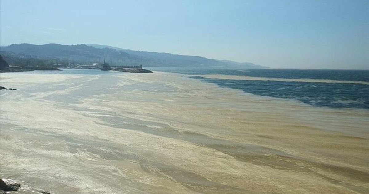 MARMARA DENİZİ