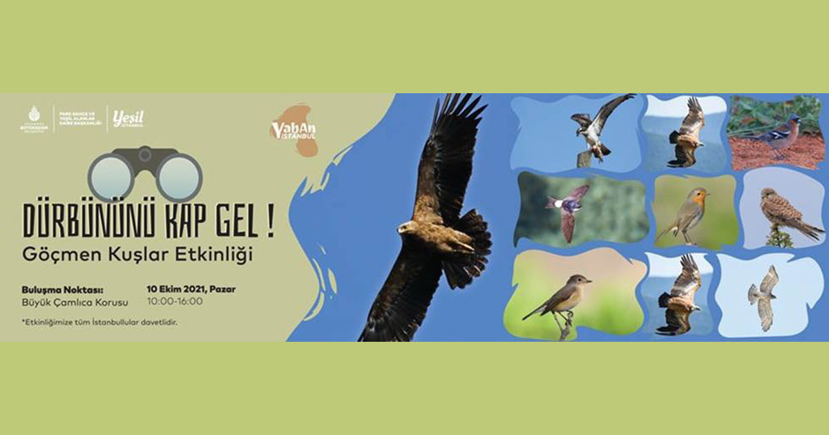 DÜRBÜNÜNÜ KAP GEL 