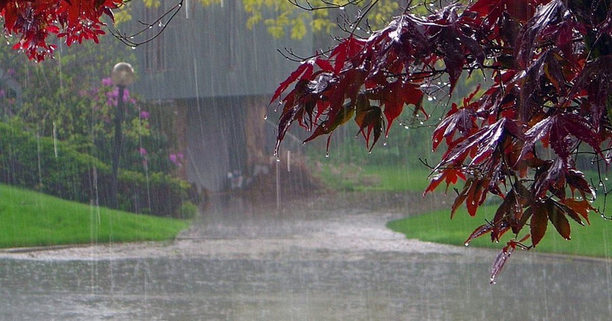 METEOROLOJİ 