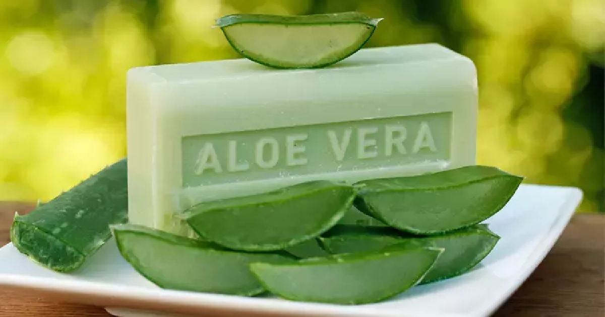 ALOE VERA SABUNU FAYDALARI NELERDİR