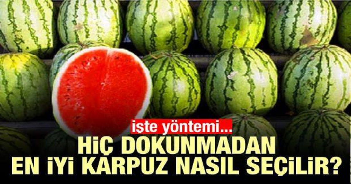 SEÇMECE KARPUZ